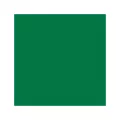 Serviette TNT Mank 40x40 55g vert foncé forêt (8E)